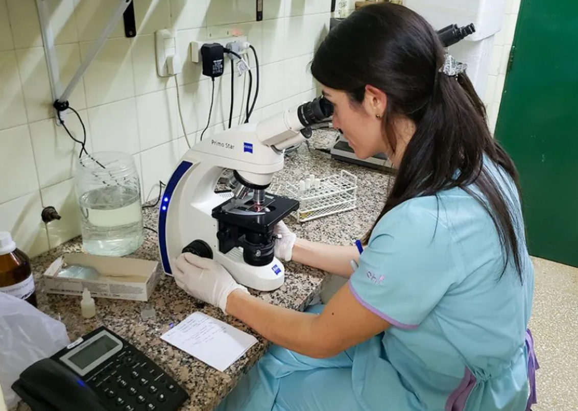 El laboratorio neuquino que descifra el ADN para garantizar el derecho a la identidad