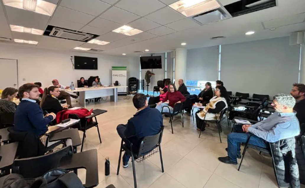El ministerio de Salud expuso sus avances en el abordaje del suicidio